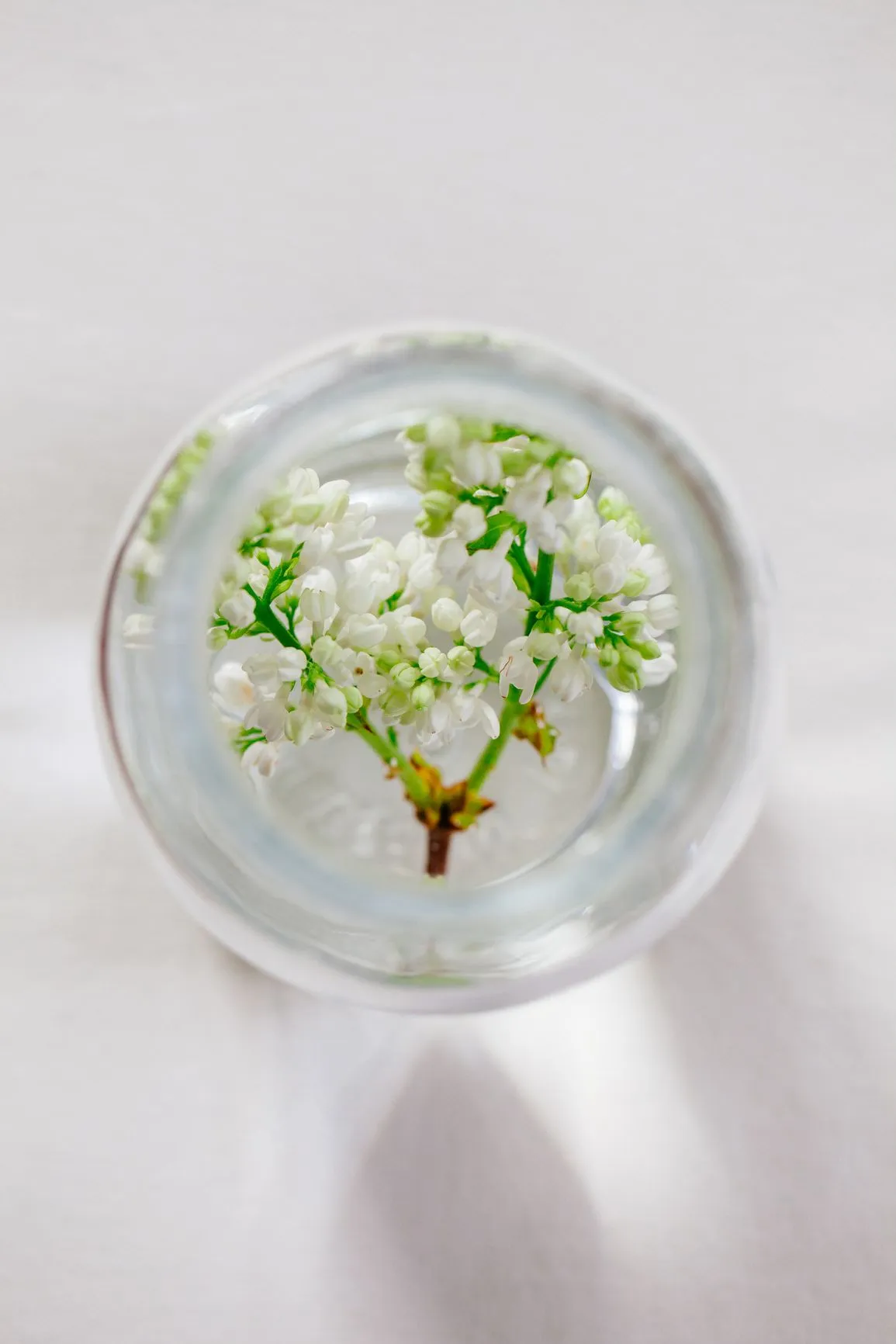 RPMG ONLY flower in glass